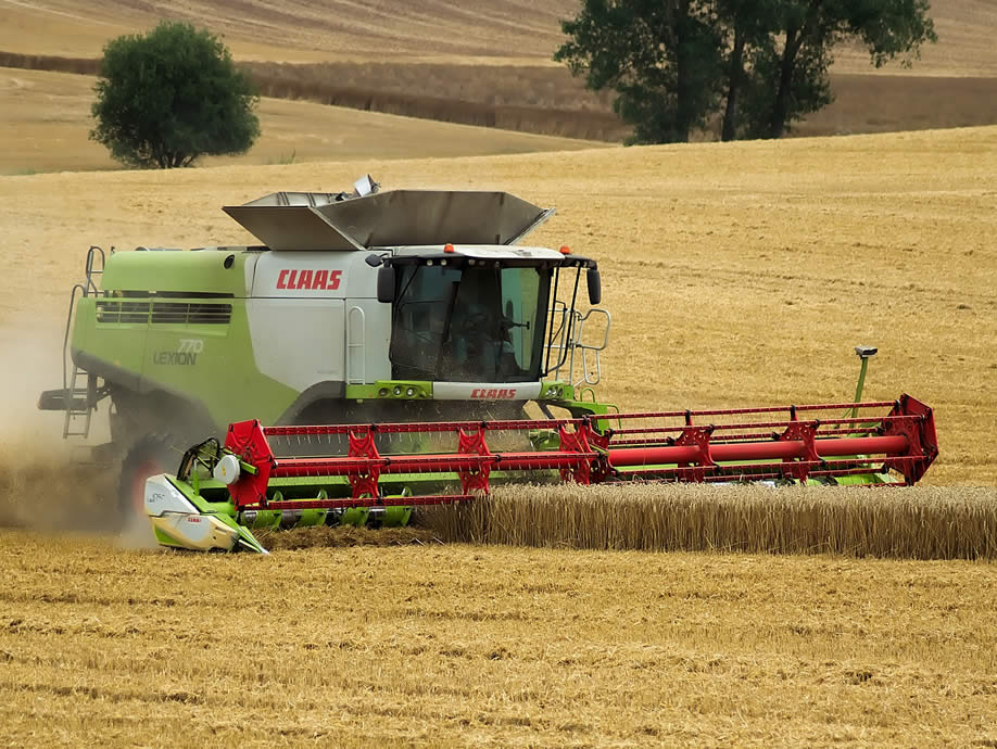 Scottish Quality Crops